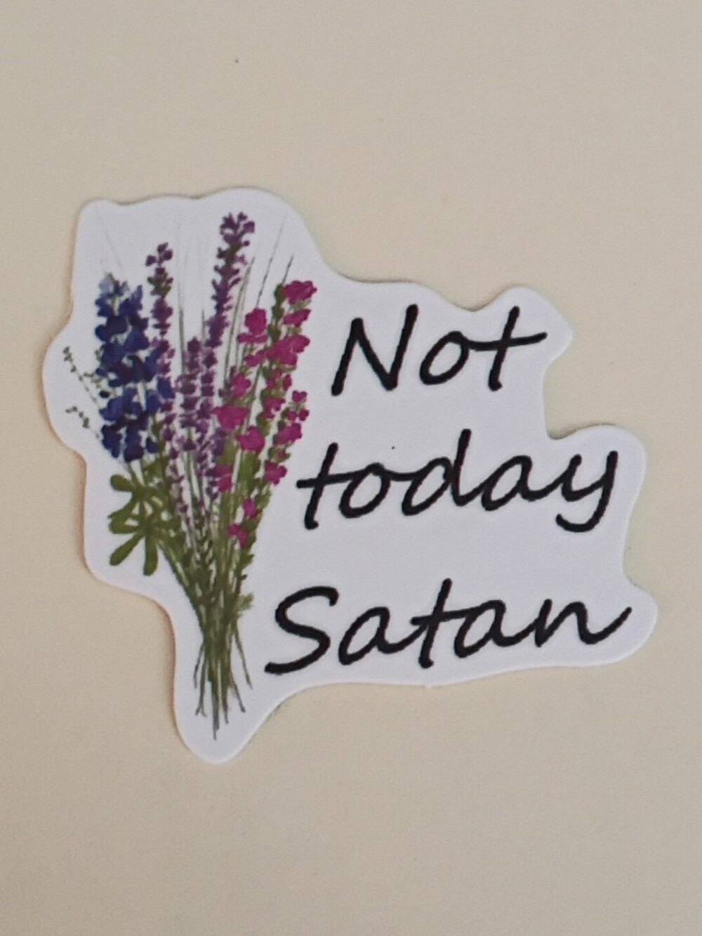 10/$10 Stickers Decal - Not Today Satan - Subtle bi Pride Flowers